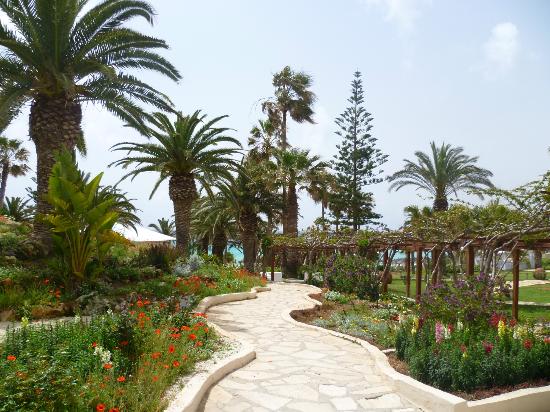 nissi-beach-resort